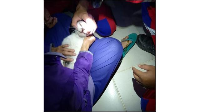 Momen Damkar Selamatkan Kucing Tersedak Tulang Ikan, Berlangsung Dramatis