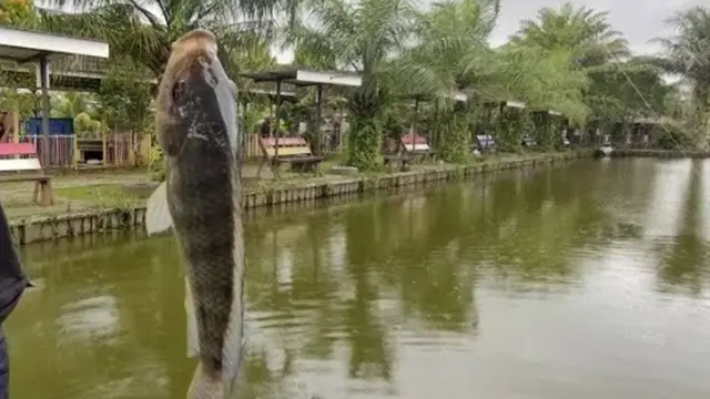 Rekomendasi Spot Mancing Nyaman 2025 di Samarinda