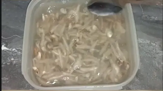 Cukup Pakai 1 Bumbu Dapur, Begini Cara Agar Ikan Teri Tidak Keasinan