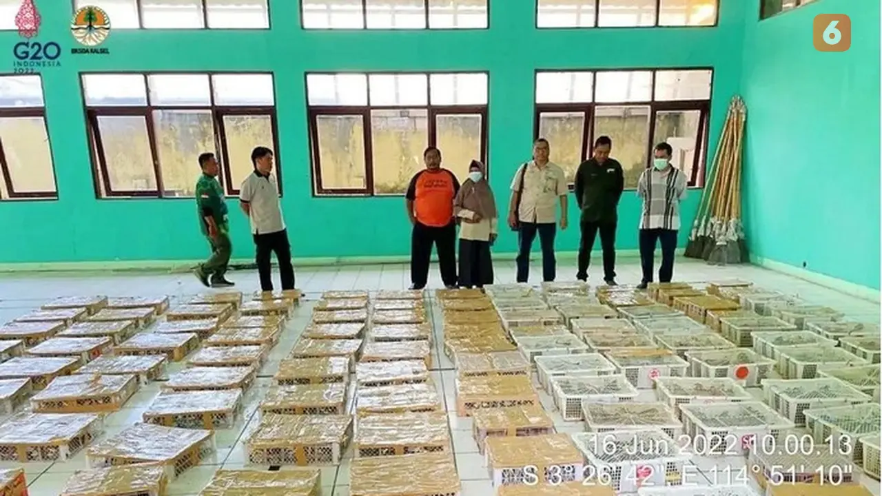 Ribuan burung kicau hasil sitaan BKSDA