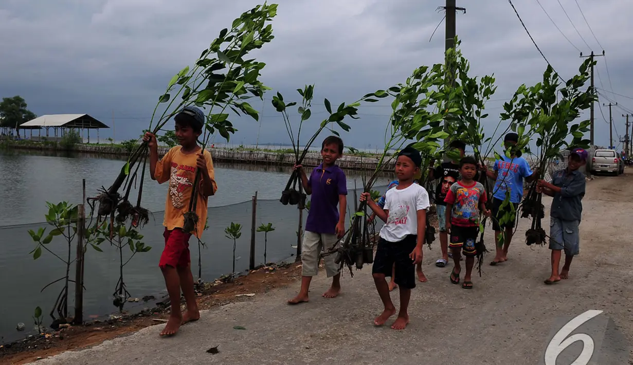 Sejumlah bocah membawa tanaman mangrove untuk ditanam di Desa Muara Ujung, Tangerang, Banten, Minggu (7/12/2014). (Liputan6.com/Johan Tallo) 