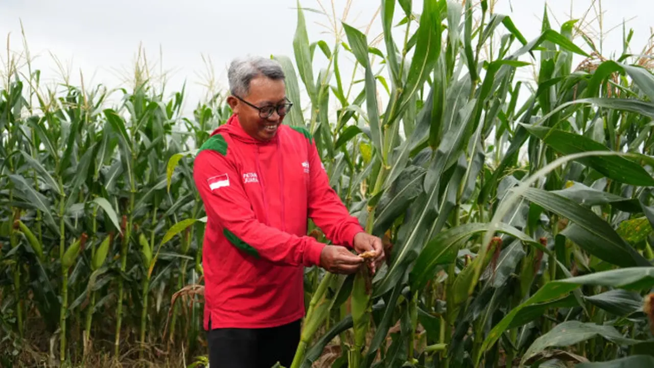 Cerita Lani Ungkap Rahasia Sukses Menjadi Petani