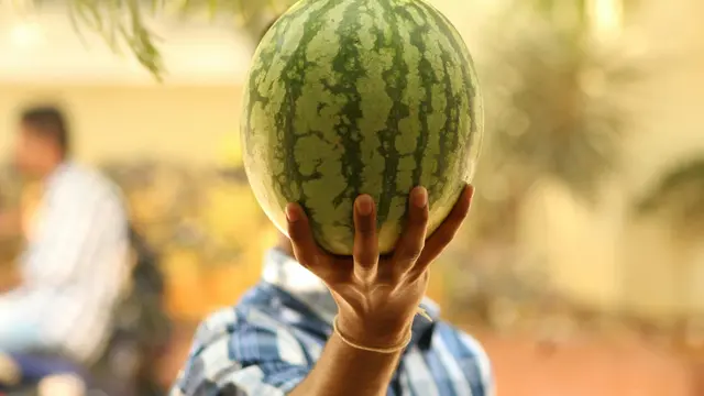 Mendukung Kesehatan Reproduksi dan Keseimbangan Hormon