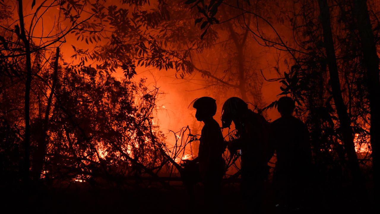 Pemadam Kebakaran Berjibaku Padamkan Karhutla Pekanbaru