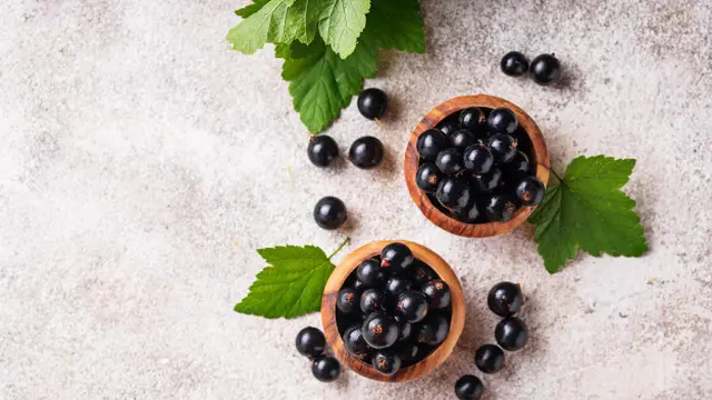 Menghambat Pertumbuhan Sel Kanker