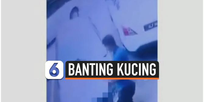 VIDEO: Pria Banting Kucing, Kesal Mobilnya Dipanjat