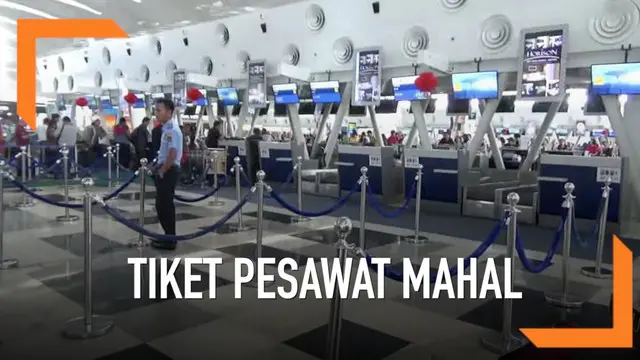 VIDEO: 60 Penerbangan Batal karena Tiket Mahal