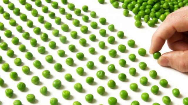 Penyebab OCD, Gejala, dan Pengobatannya