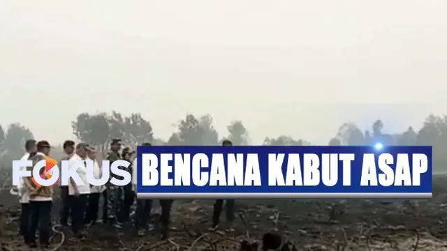 Bila melihat luasnya lahan yang terbakar, Jokowi menilai kebakaran ini merupakan kegiatan yang terorganisir.