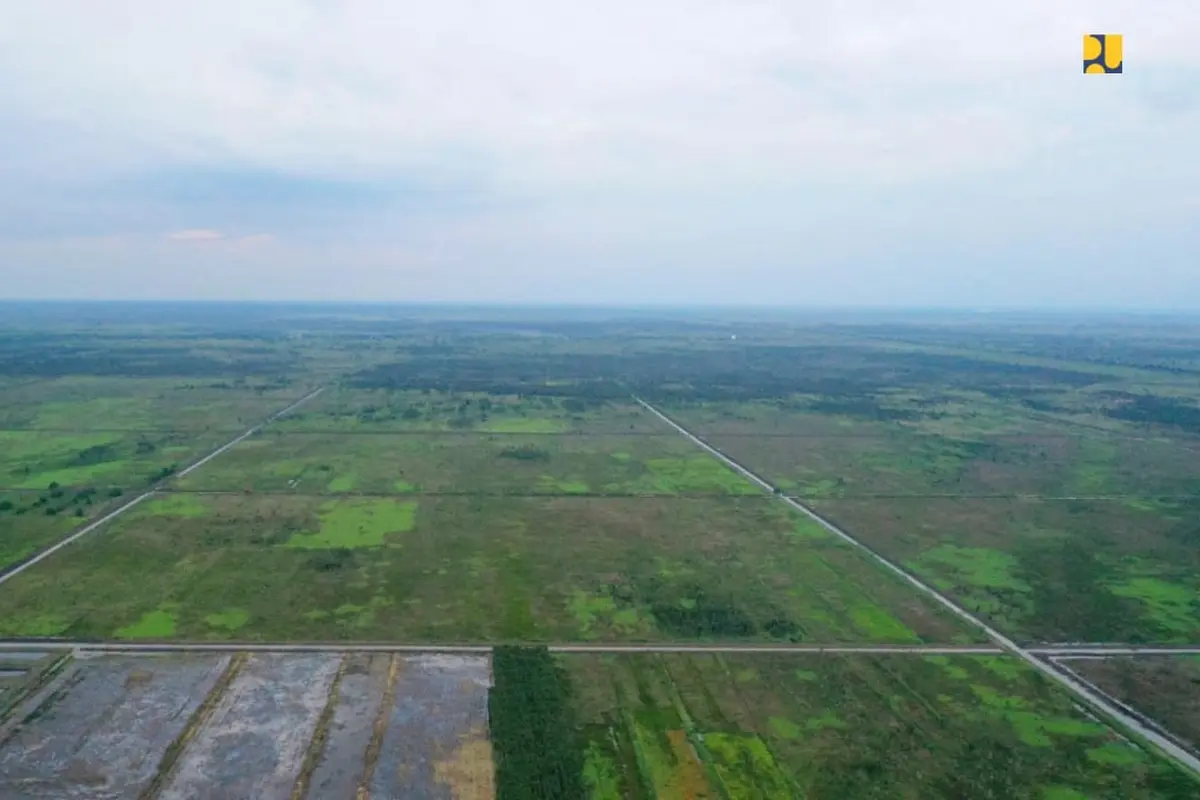 Food Estate