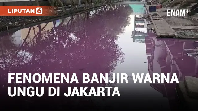 Banjir Air Ungu Keruh Terjang Penjaringan