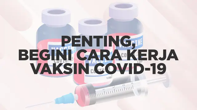 VIDEOGRAFIS: Penting, Begini Cara Kerja Vaksin Covid-19