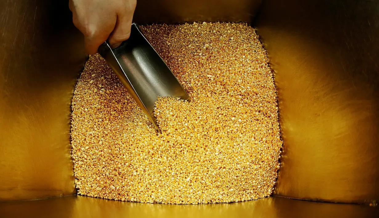 Pekerja mengambil biji emas sebagai bahan baku pembuatan emas batangan 99,99 murni di pabrik logam mulia Krastsvetmet, Rusia, 24 Oktober 2016. Krastsvetmet merupakan salah satu produsen terbesar di dunia dalam industri logam mulia (Reuters/Ilya Naymushin)