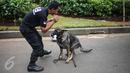 Pelatih mengintruksikan seekor anjing unit k-9 saat melakukan simulasi mencari barang bukti narkoba di Monumen Nasional, Jakarta, Selasa (6/12). Pasukan K9 yang dibentuk BNN terdiri dari berbagai jenis anjing. (Liputan6.com/Faizal Fanani)