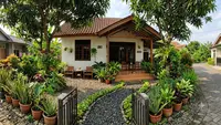 8 Ide Menata Halaman Rumah Agar Teduh Tanpa Biaya Mahal, Percantik dengan Tanaman Murah