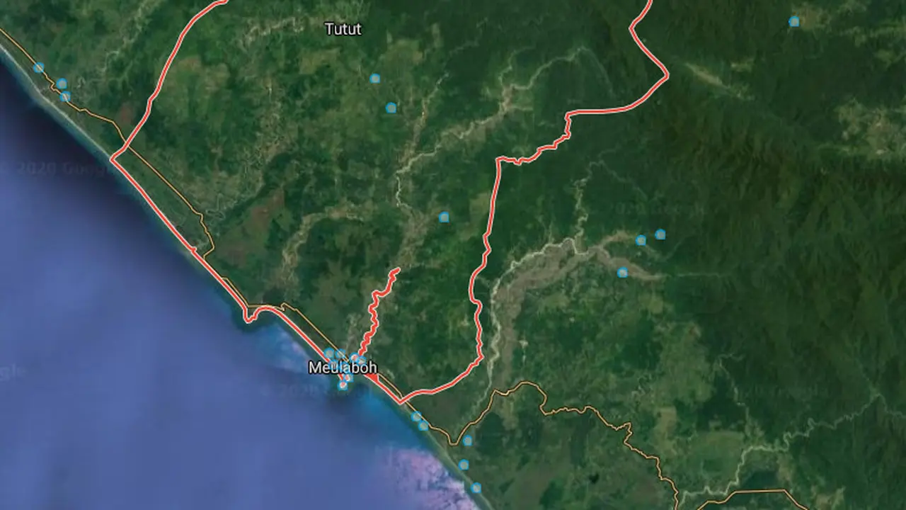 Hutan di Aceh Barat