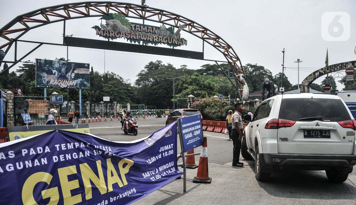 Petugas mensosialisasikan ganjil genap di Taman Margasatwa Ragunan, Jakarta, Minggu (24/10/2021).Tempat wisata yang memberlakukan ganjil genap yakni Ragunan, Ancol, dan TMII sebagai upaya antisipasi kepadatan pengunjung seiring dibuka kembali pada masa PPKM Level 2. (merdeka.com/Iqbal S. Nugroho)