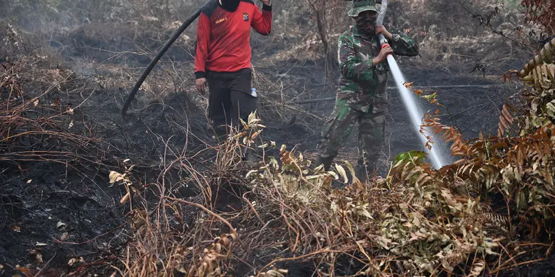 Aksi Prajurit TNI Berjibaku Padamkan Kebakaran Hutan Riau