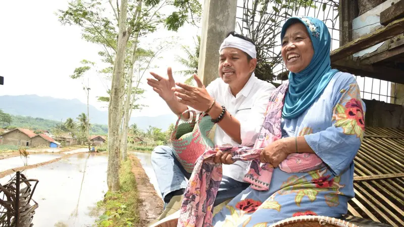 Calon Wakil Gubernur Jawa Barat Dedi Mulyadi