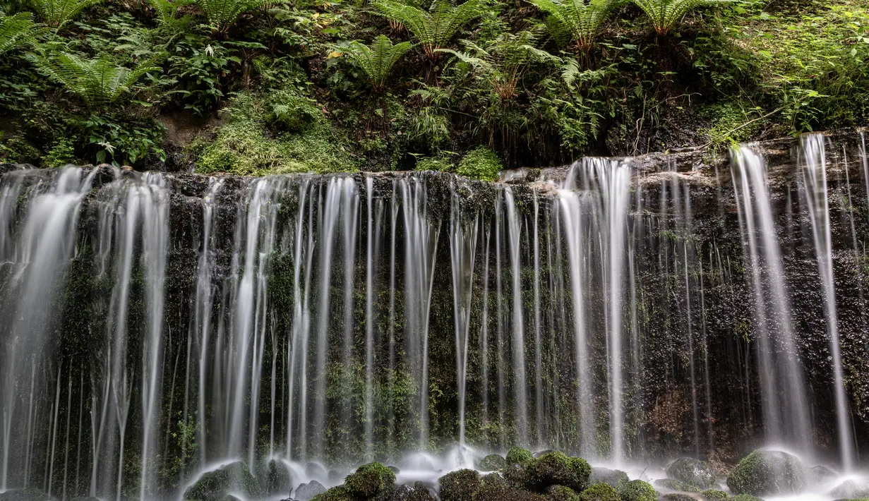 Air Terjun di prefektur Nagano ini merupakan salah satu Air Terjun Shiraito yang paling terkenal. Air terjun ini hanya berketinggian 3 meter, namun memiliki lebar lebih dari 70 meter. (AFP/Richard A. Brooks)