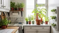 8 Langkah Mudah Membuat Kebun Dapur untuk Ibu Rumah Tangga, Pemula Bisa Coba