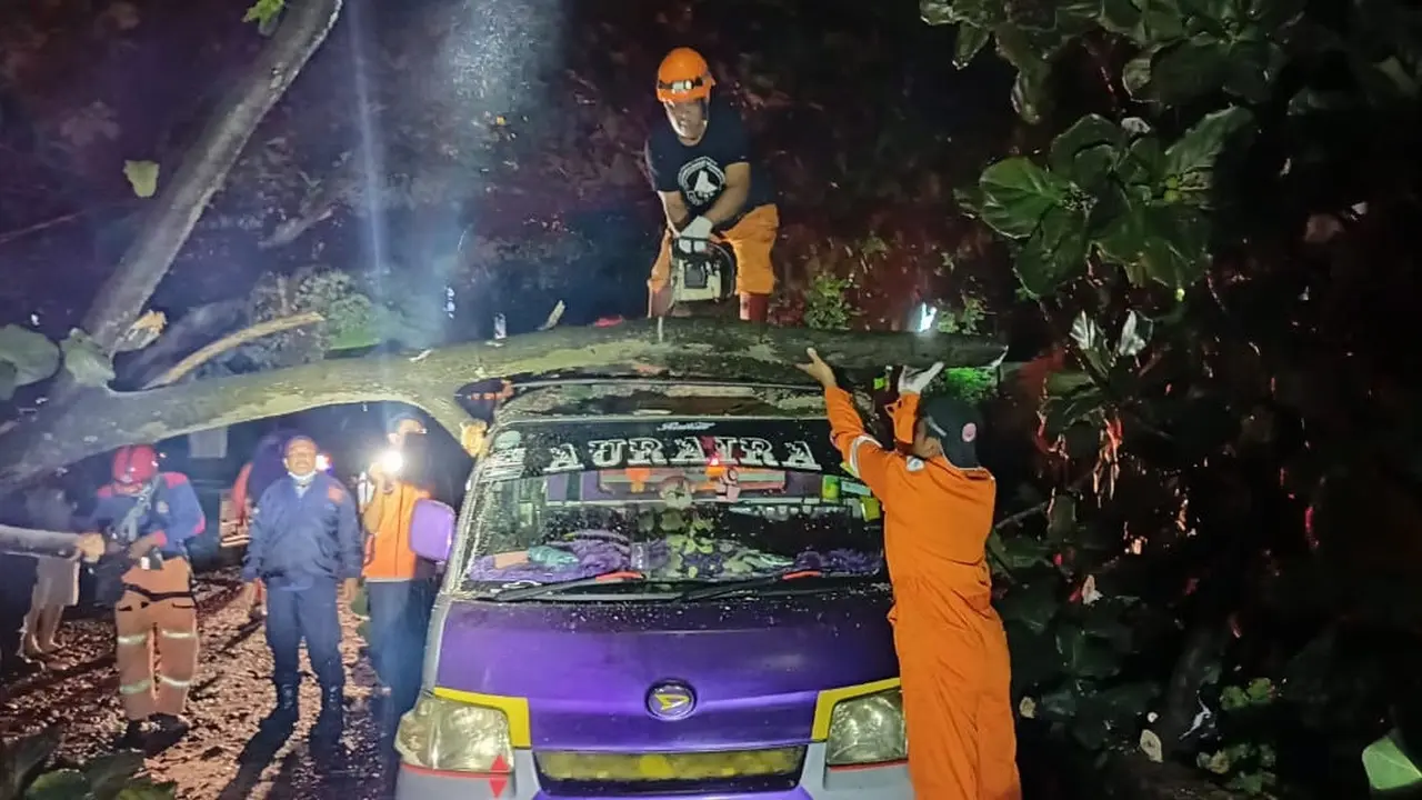 Pohon tumbang