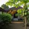 Pohon buah yang aman untuk rumah lansia. [Foto: Gemini]