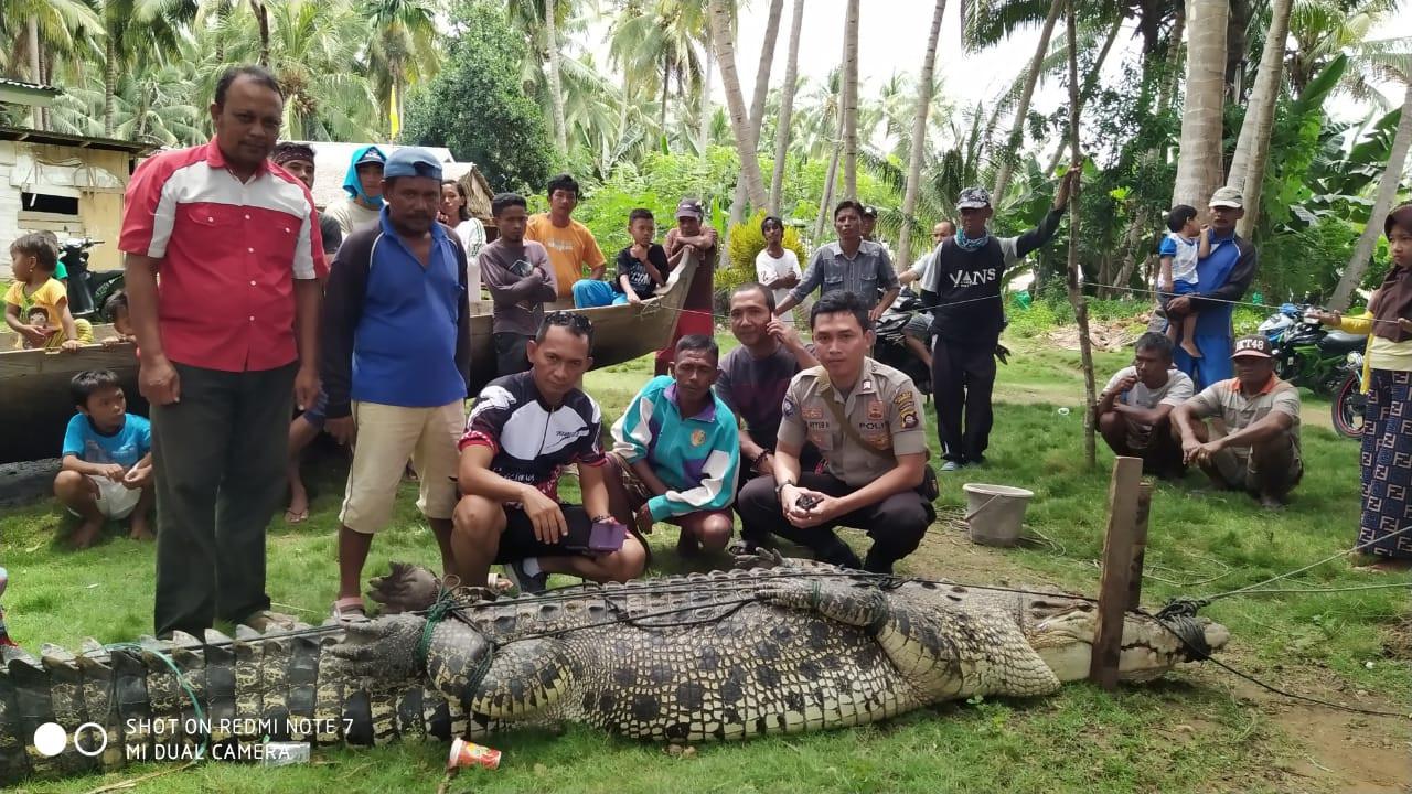 Warga Menangkap Buaya