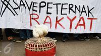Seekor ayam ternak dibawa saat aksi unjuk rasa depan Istana Merdeka, Jakarta, (1/3). Mereka kecewa terhadap turunnya Harga Pokok Produksi (HPP) pengeluaran modal Rp18.000 sedangkan harga jual hanya Rp10.000 per kilogramnya.  (Liputan6.com/Faizal Fanani) 