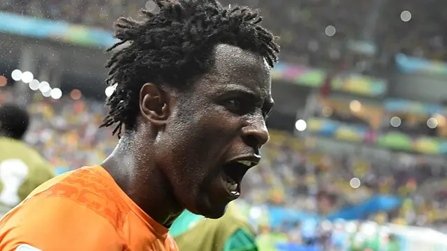 Wilfried Bony