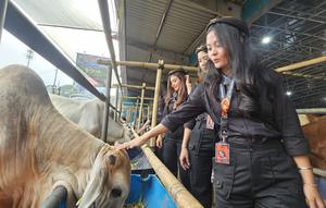 Mal Hewan Kurban H Doni, menampilkan SPG bernuansa pramugari untuk menarik minat pembeli hewan kurban di Kota Depok. (Liputan6.com/Dicky Agung Prihanto)