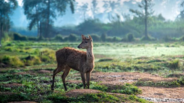 7 Wisata Anak Di Bandung Yang Wajib Dikunjungi Perpaduan