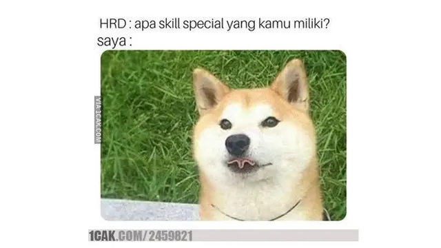 Meme Kocak Saat Interview Kerja Ini Bikin Ngakak