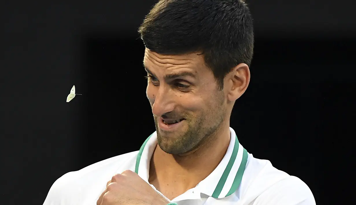 Kupu-kupu berwarna putih tersebut terus menghampiri Novak Djokovic. Dirinya hanya bisa menghindar tanpa menyakiti binatang lucu tersebut. (Foto: AFP/William West)