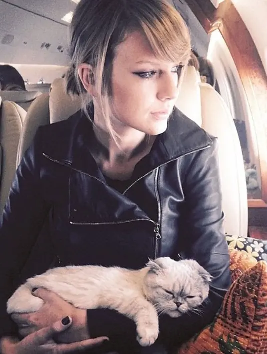 Taylor Swift mengunggah kucing dengan ras Scottish Fold tersebut dalam persiapan koreografi Reputation. (DailyMail)