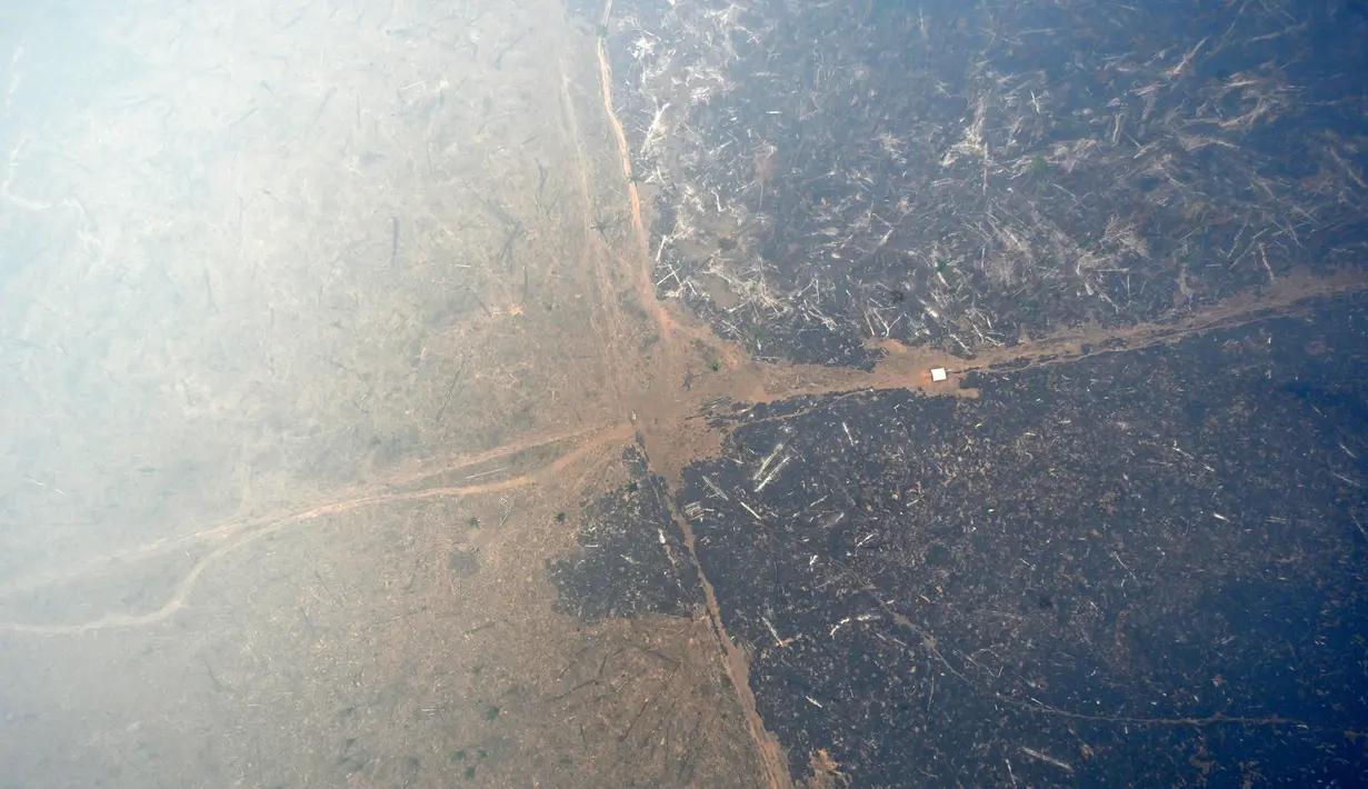 <p>Citra satelit INPE menunjukkan gumpalan asap yang melintasi Brasil dari utara ke selatan, juga melewati negara tetangga Bolivia dan Paraguay. (EVARISTO SA / AFP)</p>