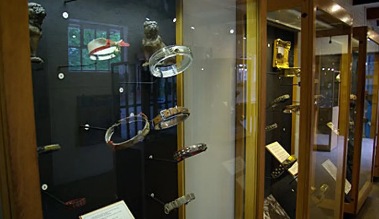 The Dog Collar Museum yaitu sebuah museum yang berada di Inggris, Museum ini menyimpan koleksi rantai anjing sejak abad 15 di Inggris. Mungkin anda tertarik untuk mencari referensi rantai buat anjing anda disini. (novi.ba)