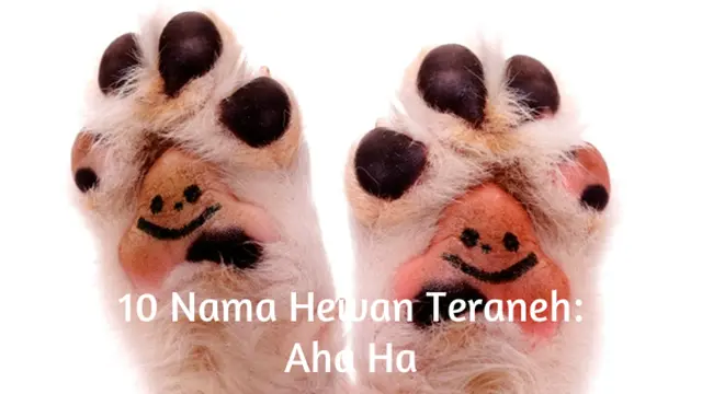 Foto: copyright ThinkStockPhotos.com