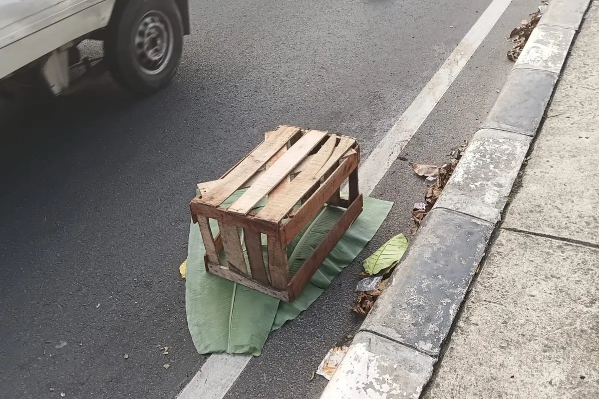 Jasad bayi yang hancur ditutupi daun pisang yang berada di fly over Jalan Raya Tanah Baru, Depok