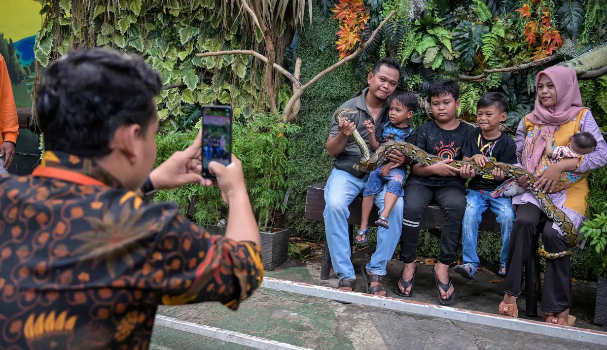 Untuk menyambut libur panjang Nataru 2025/2026, pengelola Kebun Binatang Surabaya (KBS) telah menyiapkan sejumlah program dan hiburan khusus bagi para pengunjung. Tampak dalam foto, seorang karyawan kebun binatang (kiri) mengambil foto sebuah keluarga yang memegang ular piton di Kebun Binatang Surabaya, Jawa Timur, selama libur sekolah sekaligus jelang Natal dan Tahun Baru pada Minggu 21 Desember 2025. (JUNI KRISWANTO/AFP)