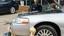 Tengkorak-tengkorak dipajang di samping sebuah mobil dalam acara Highwood Skeleton Invasion yang digelar di Highwood, Illinois, Amerika Serikat (AS), pada 22 Oktober 2020. Ratusan tengkorak dipajang di Highwood dalam acara bertajuk Skeleton Invasion (Invasi Tengkorak). (Xinhua/Joel Lerner)