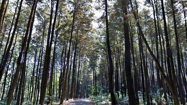 [Bintang] Wisata yang Bisa Kamu Kunjungi di Sekitar Sirkuit Sentul