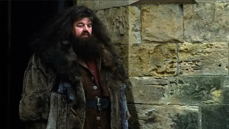 Robbie Coltrane Pemeran Hagrid di Film Harry Potter