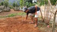 Warga sedang merapihkan kuburan babi ngepet yang dimakamkan di Pemakaman Keluarga di Kelurahan Bedahan, Kecamatan Sawangan. (Liputan6.com/Dicky Agung Prihanto)