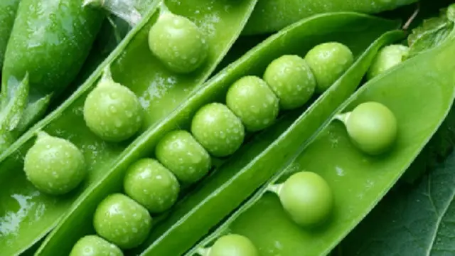 Ilustrasi kacang polong (iStock)