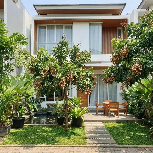 Buah  Cocok Ditanam di Halaman Belakang