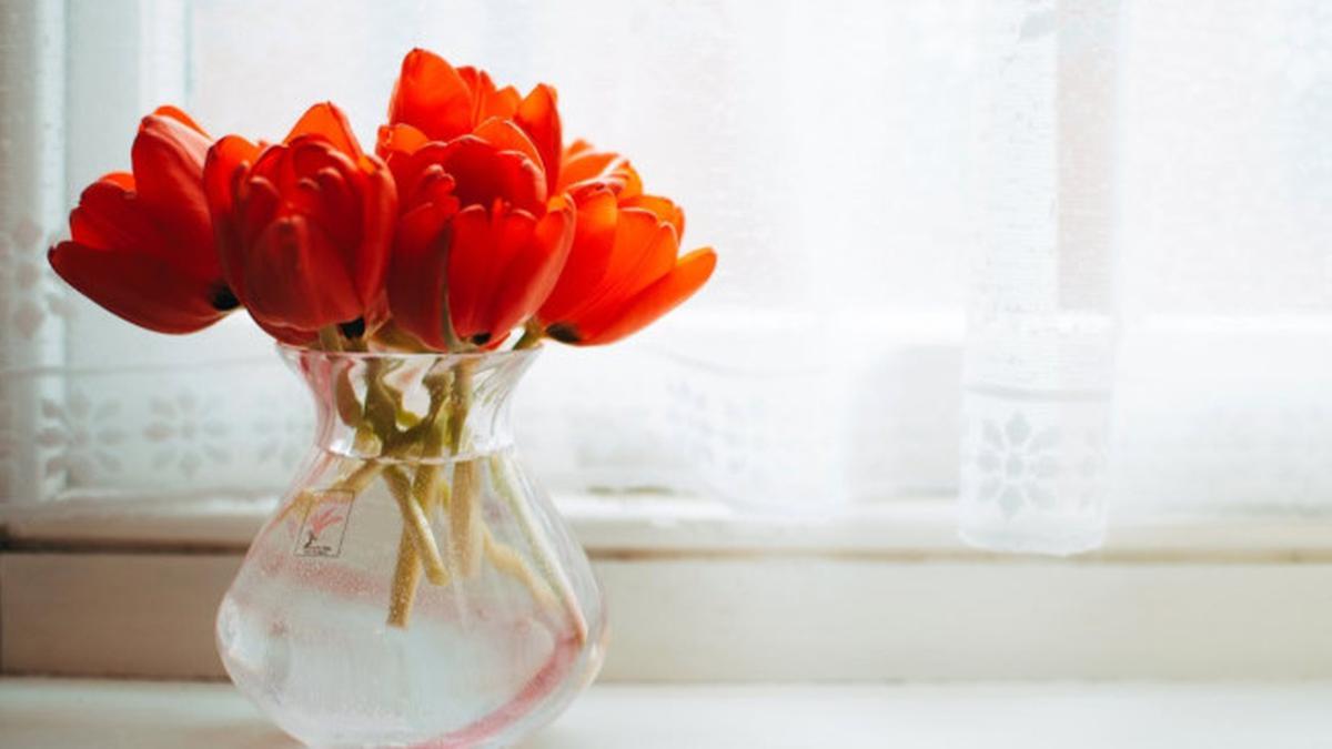 Trik Menyimpan Bunga Segar di Rumah agar Tahan Lama dan Tidak Cepat Layu