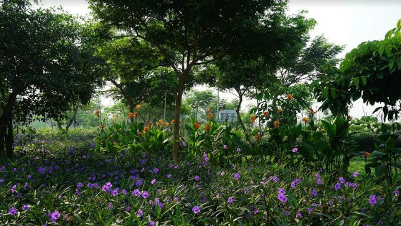 (Foto: Liputan6.com/Dian Kurniawan)