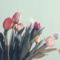 Ilustrasi bunga tulip | unsplash.com/@zeitschreiber