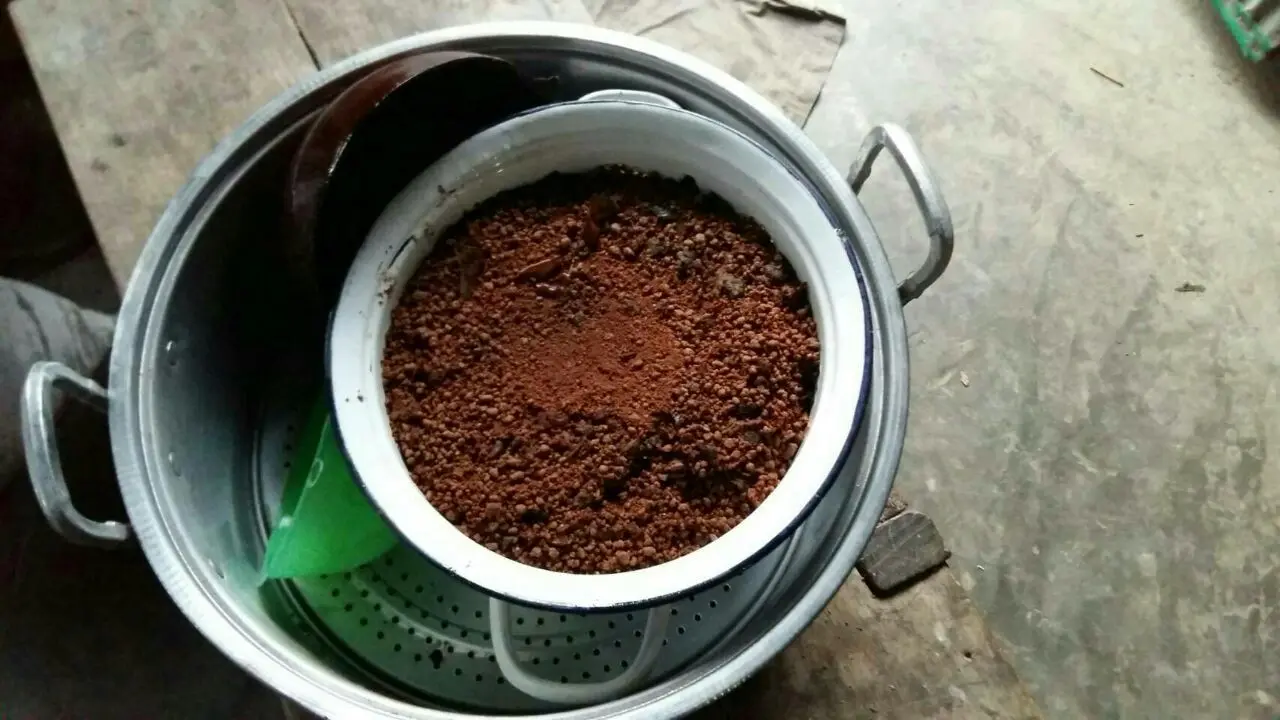 Rahasia Harumnya Tai Minna Khas Suku Mandar yang Bikin Lapar 